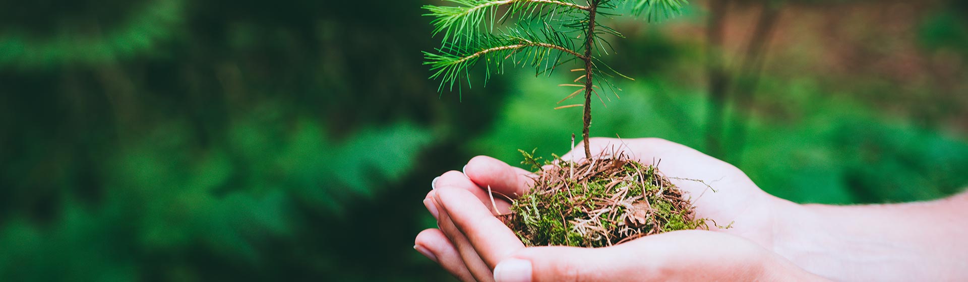 Relife - Ein Schuh wie kein Schuh - Unsere Priorität: der Schutz von Mitarbeitern und Umwelt